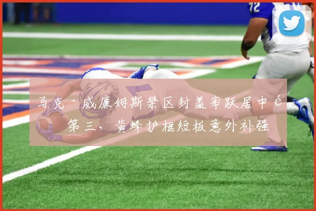 马克·威廉姆斯禁区封盖率跃居中锋第三，黄蜂护框短板意外补强